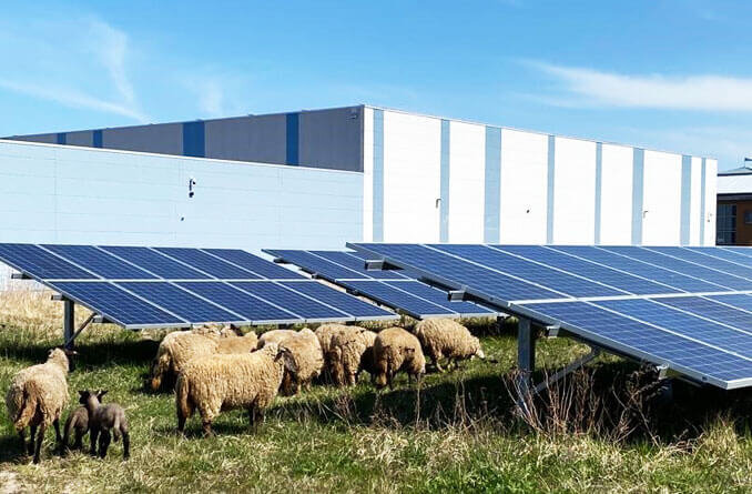 ml&s Sustainability Teaser